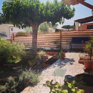 Treille et bacs potager pleine terre