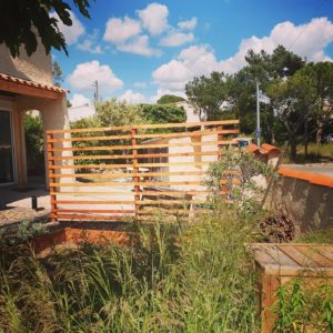 Treille et bacs potager pleine terre